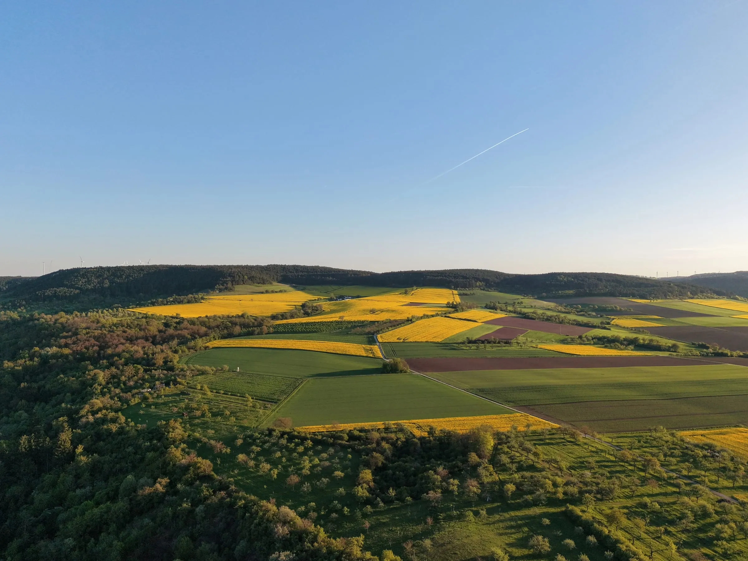Rapsfelder, Wiesen und Streuobst in Mainfranken im Frühling